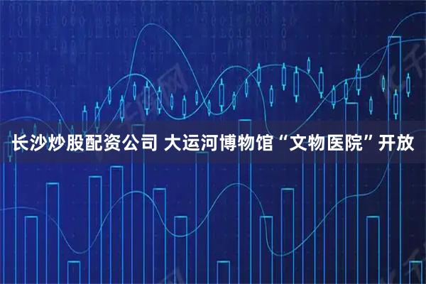 长沙炒股配资公司 大运河博物馆“文物医院”开放