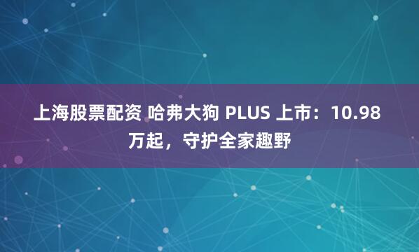 上海股票配资 哈弗大狗 PLUS 上市：10.98 万起，守护全家趣野