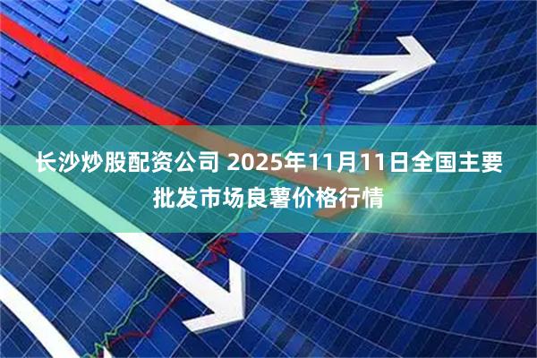 长沙炒股配资公司 2025年11月11日全国主要批发市场良薯价格行情