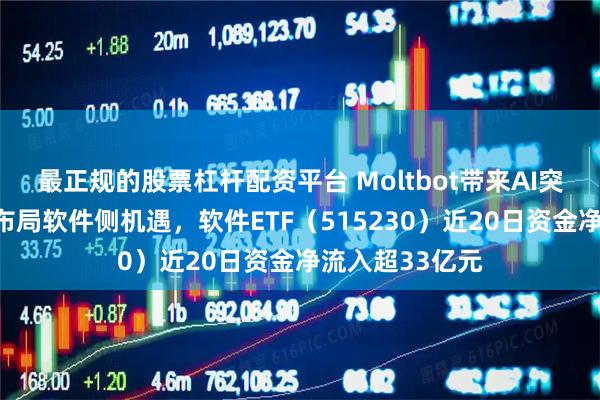 最正规的股票杠杆配资平台 Moltbot带来AI突破，资金抢筹布局软件侧机遇，软件ETF（515230）近20日资金净流入超33亿元