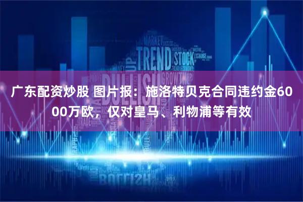 广东配资炒股 图片报：施洛特贝克合同违约金6000万欧，仅对皇马、利物浦等有效