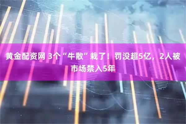 黄金配资网 3个“牛散”栽了！罚没超5亿，2人被市场禁入5年